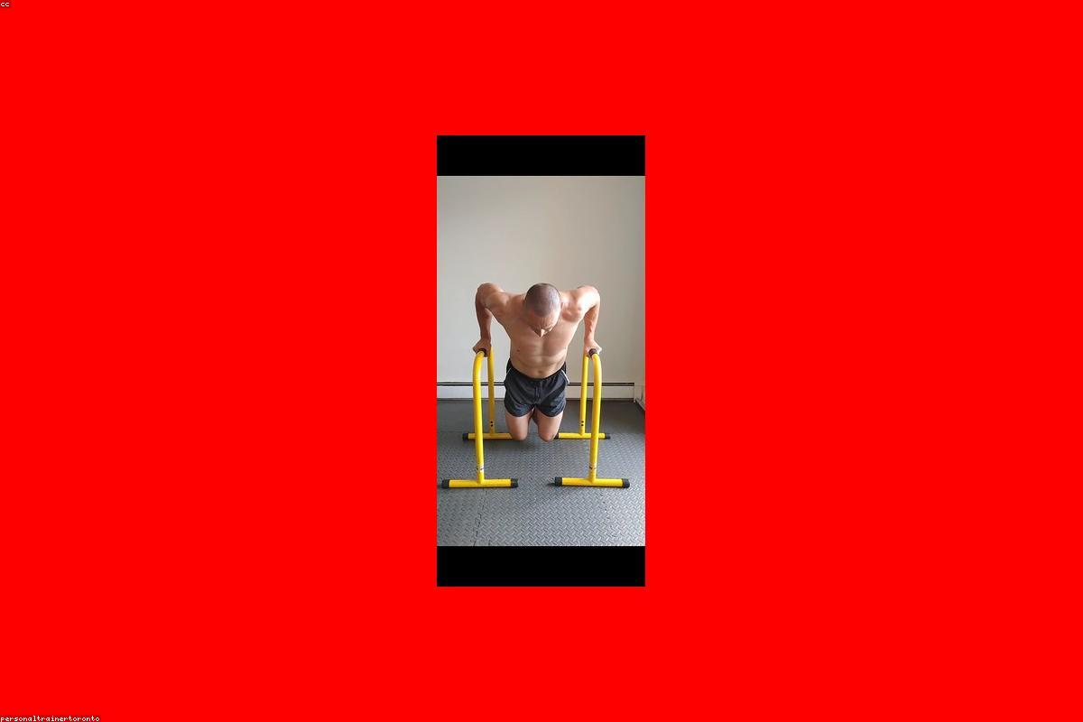 Rack de musculation et barres pour salle de fitness